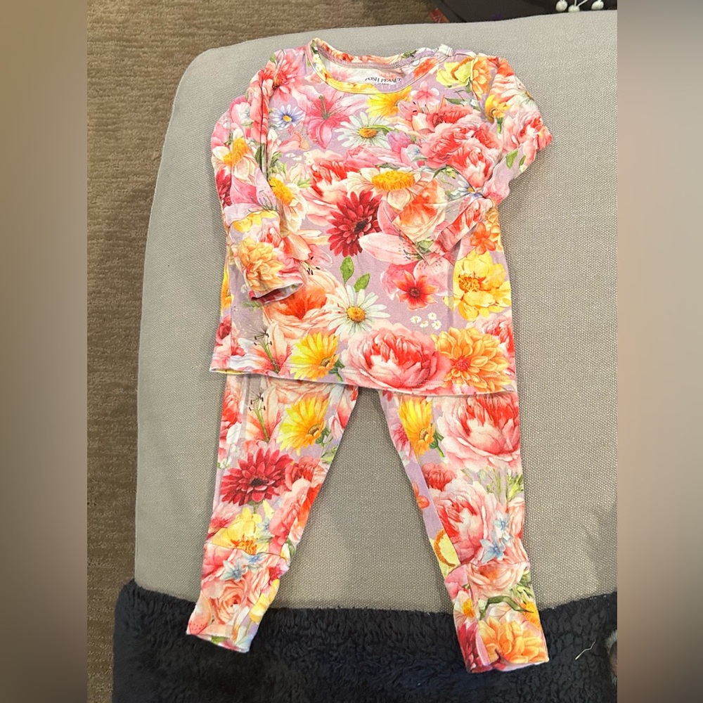 Posh peanut pajamas, 2 piece